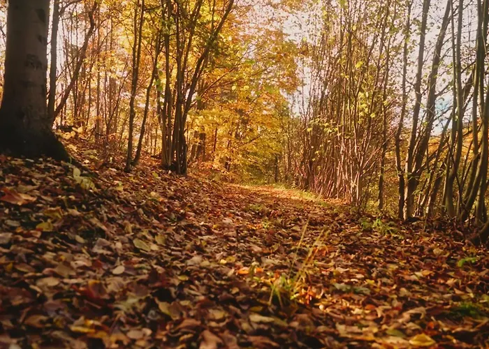 Villa W Sam Ochotnica Dolna